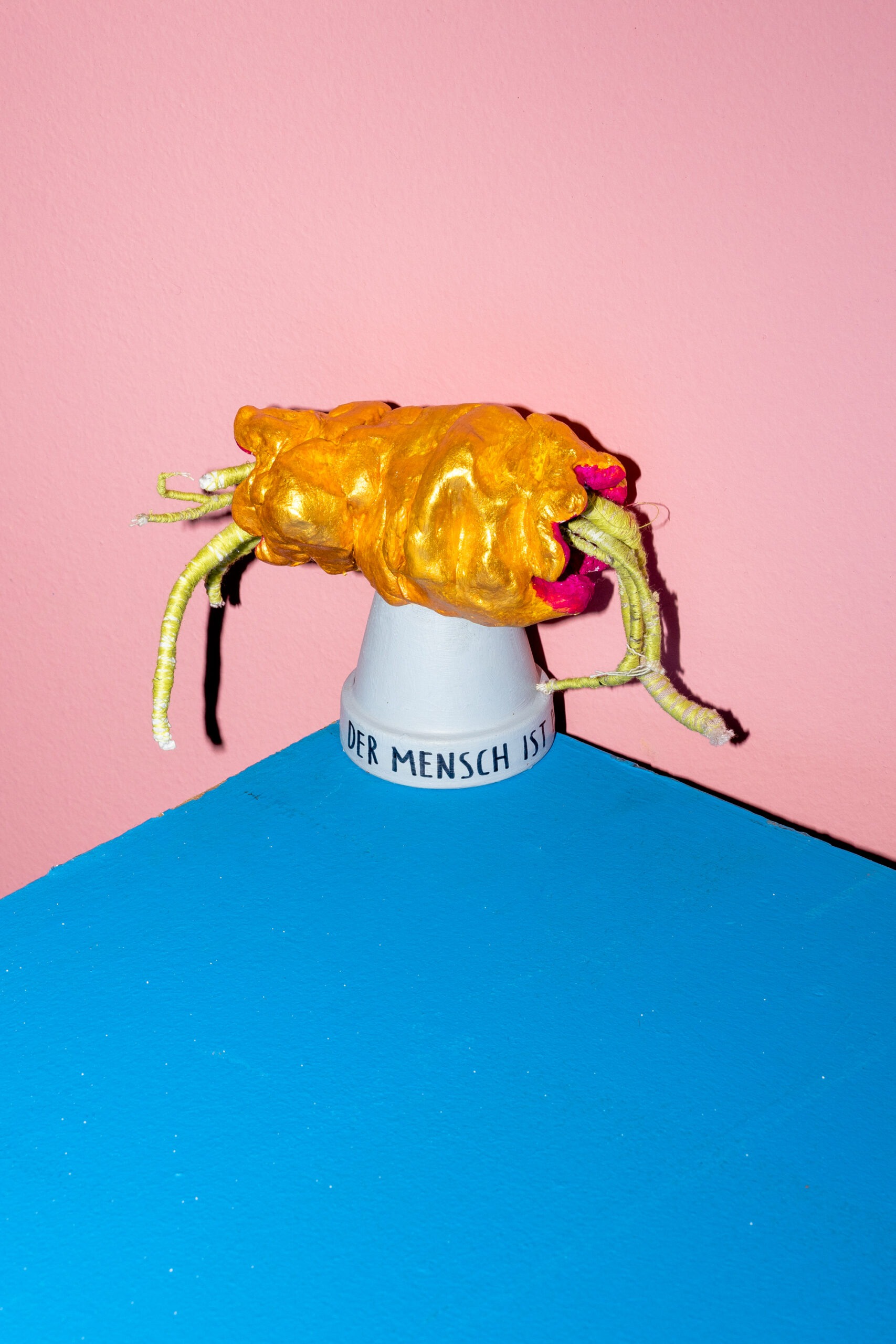 2078 Der Mensch ist die Rakete - Malina Vaagt