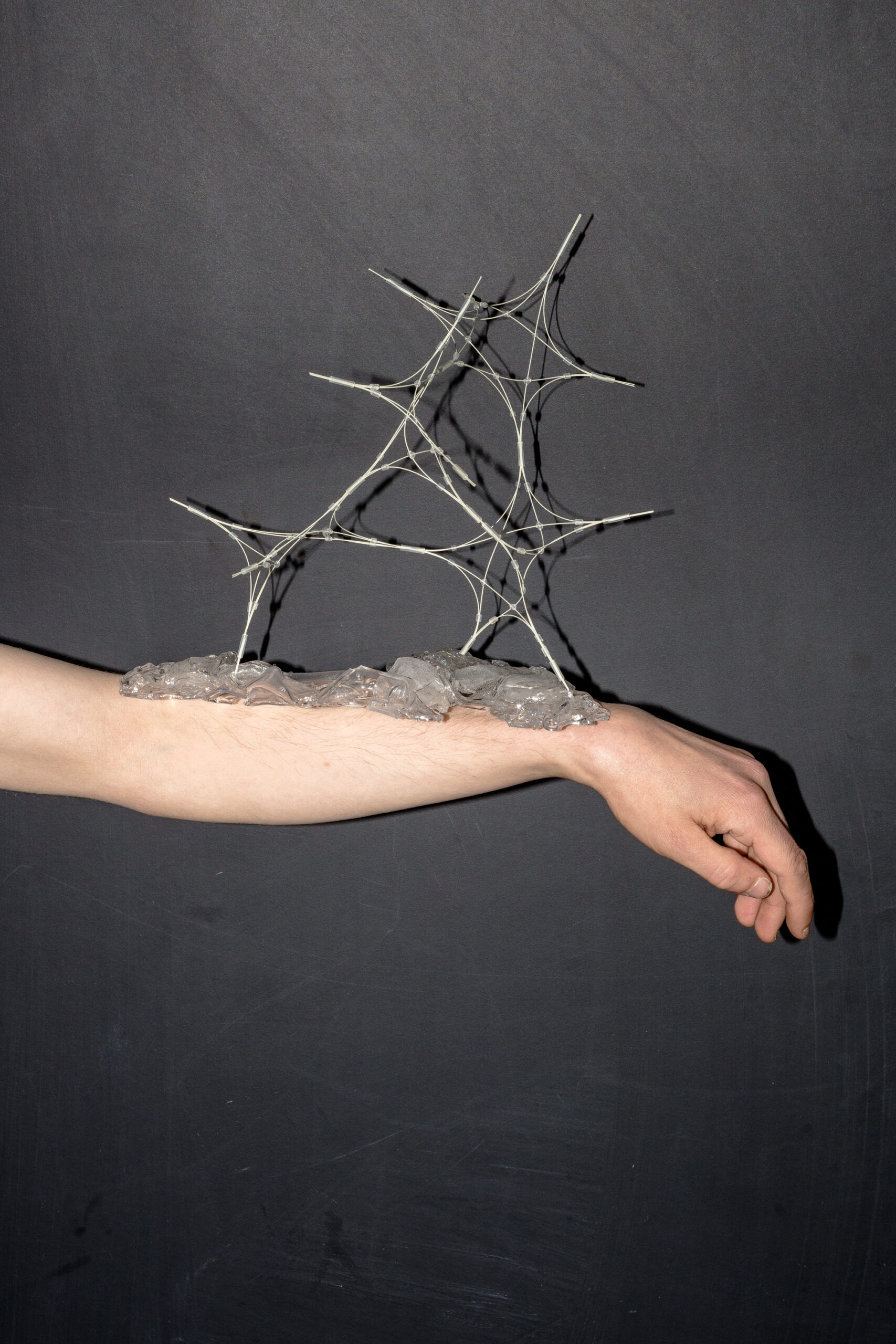 2102 Reticular ambition - Kristoffer Stefan